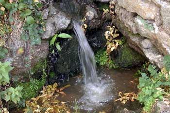 Agua en estado lquido, manantial.