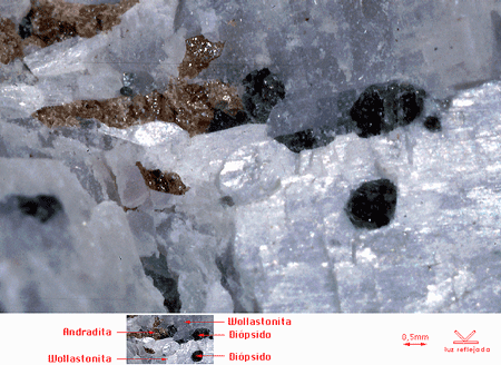 Minerales de un yacimiento de Skarn. Departamento de Edafologa de la Universidad de Granada