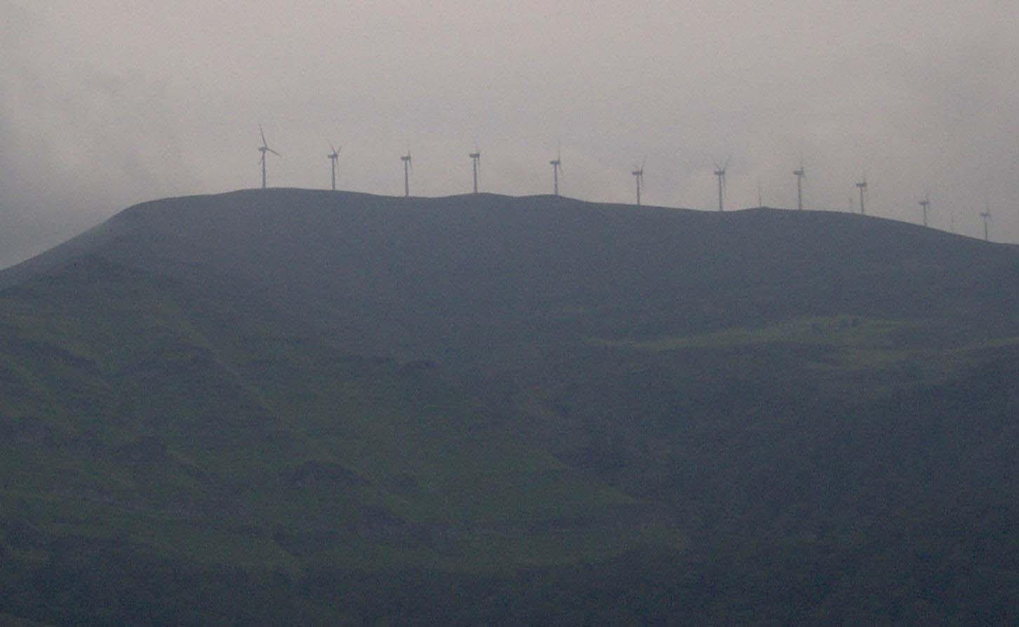 Campo elico. Imagen: De Mier y Leva.