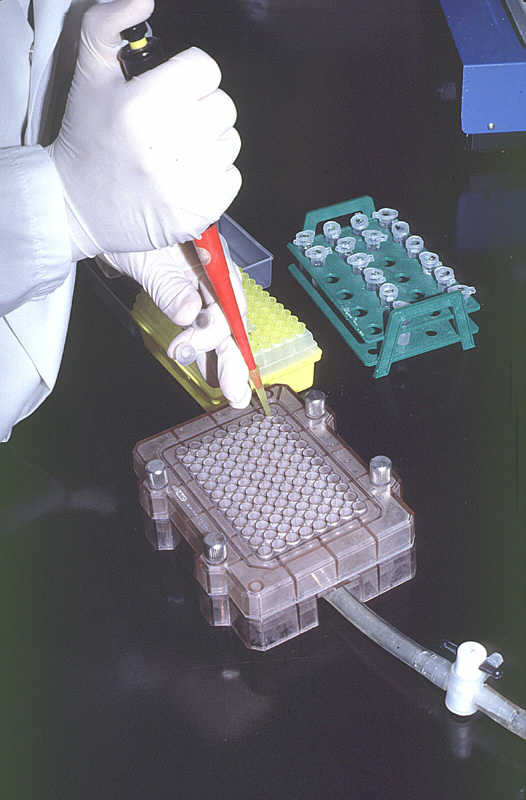 La biotecnologa nos aporta gran cantidad de productos de uso cotidiano. Tomada de www.glfc.forestry.ca