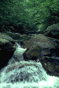 Río Saluda (U.S.A.)