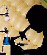 Experimentor