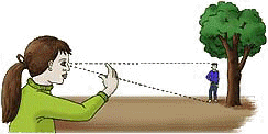 Observar