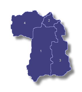 Mapa del 
Distrito Senatorial de Bayamn