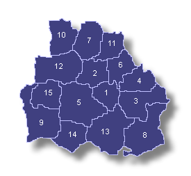 Mapa del Distrito Senatorial de Guayama