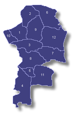 Mapa del Distrito Senatorial de Mayagez
