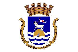 Bandera de San Juan