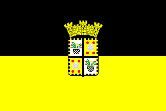 Bandera de Yauco
