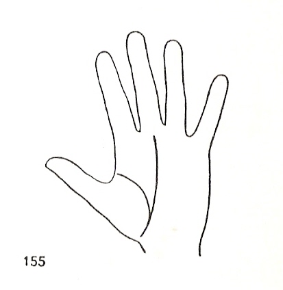 L�neas Secundarias