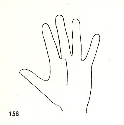 L�neas Secundarias
