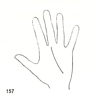 L�neas Secundarias