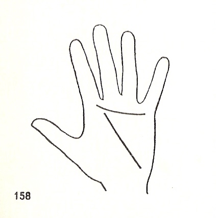 L�neas Secundarias