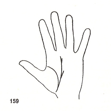 L�neas Secundarias