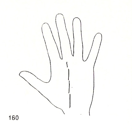 L�neas Secundarias