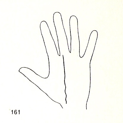 L�neas Secundarias