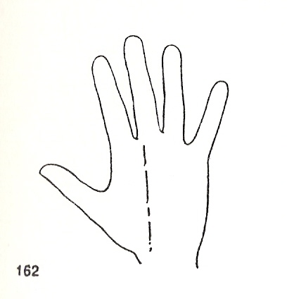 L�neas Secundarias