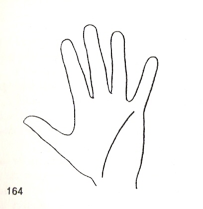 L�neas Secundarias