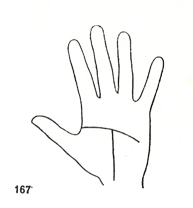 L�neas Secundarias