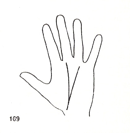 L�neas Secundarias