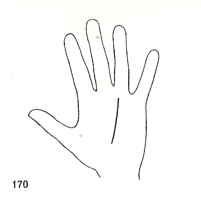 L�neas Secundarias