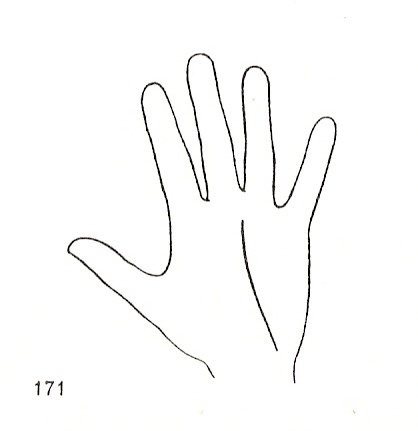 L�neas Secundarias