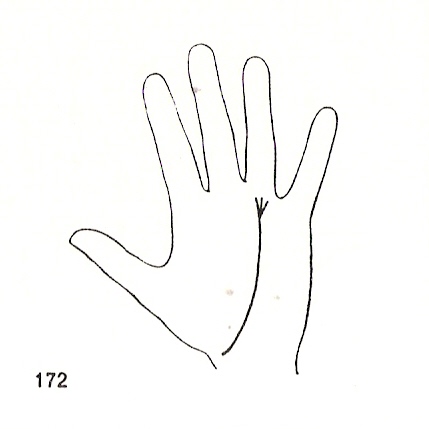 L�neas Secundarias