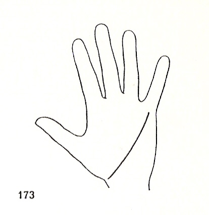 L�neas Secundarias