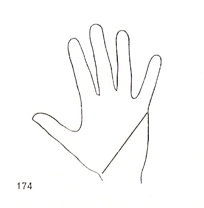 L�neas Secundarias