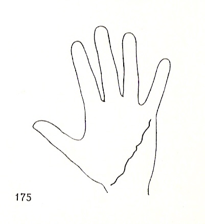 L�neas Secundarias