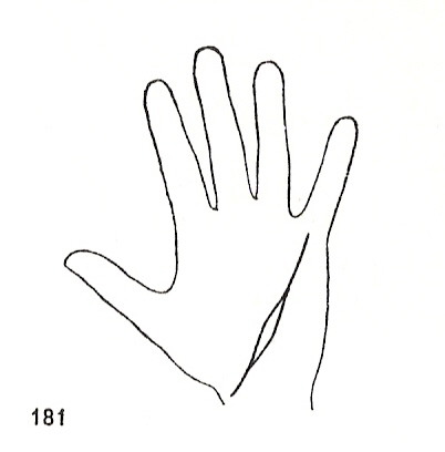 L�neas Secundarias