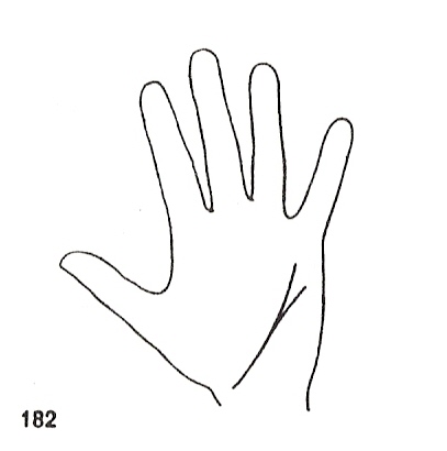 L�neas Secundarias