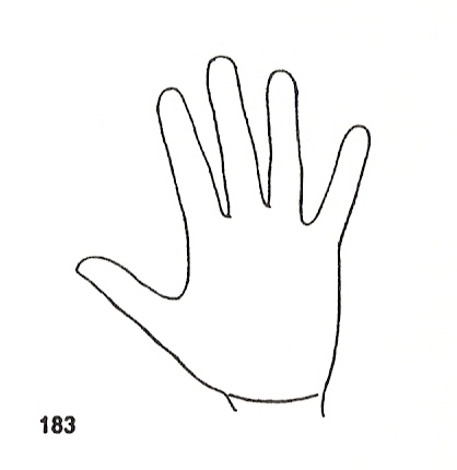 L�neas Secundarias
