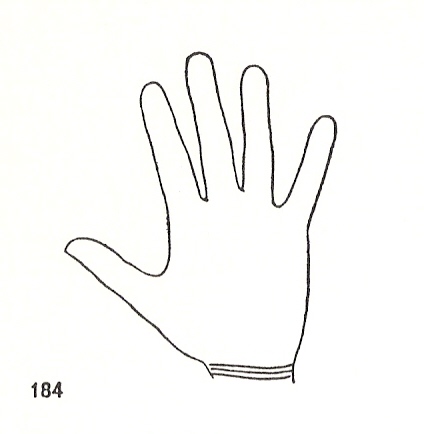 L�neas Secundarias