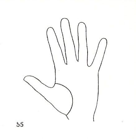 Las Lineas de la Mano