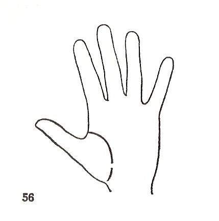 Las Lineas de la Mano