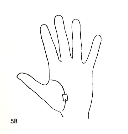 Las Lineas de la Mano