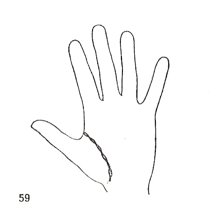 Las Lineas de la Mano