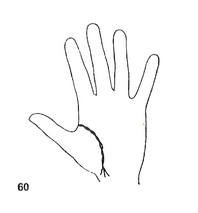 Las Lineas de la Mano