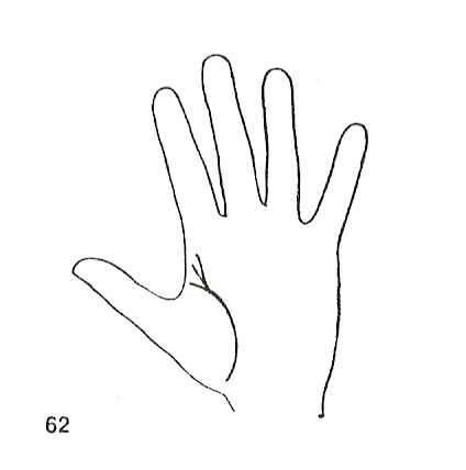 Las Lineas de la Mano
