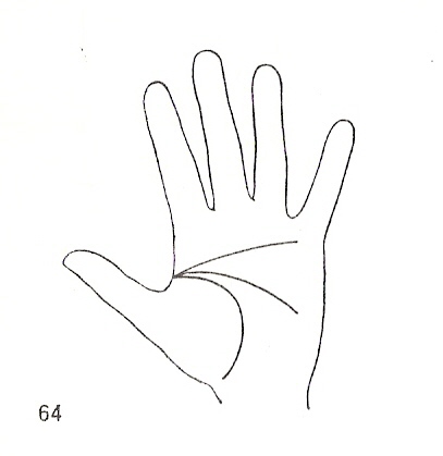 Las Lineas de la Mano