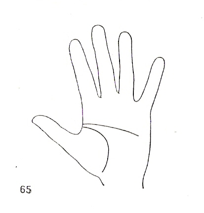 Las Lineas de la Mano