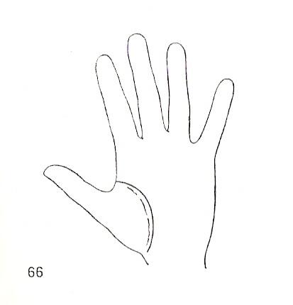 Las Lineas de la Mano