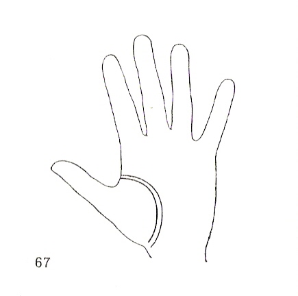 Las Lineas de la Mano
