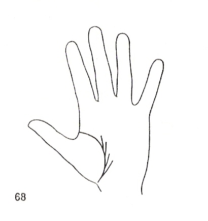 Las Lineas de la Mano