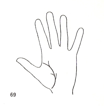 Las Lineas de la Mano