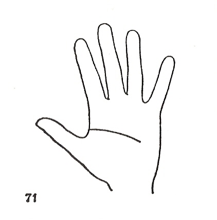 Las Lineas de la Mano
