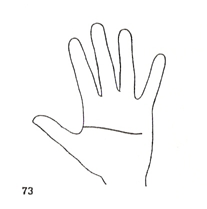 Las Lineas de la Mano