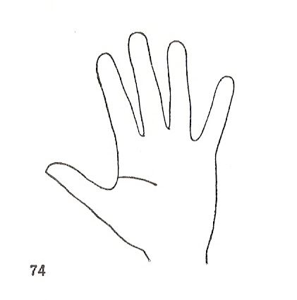 Las Lineas de la Mano