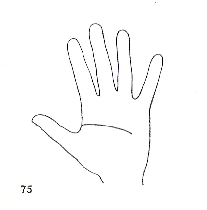 Las Lineas de la Mano