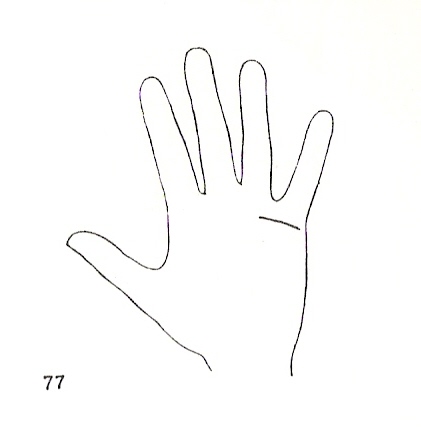 Las Lineas de la Mano